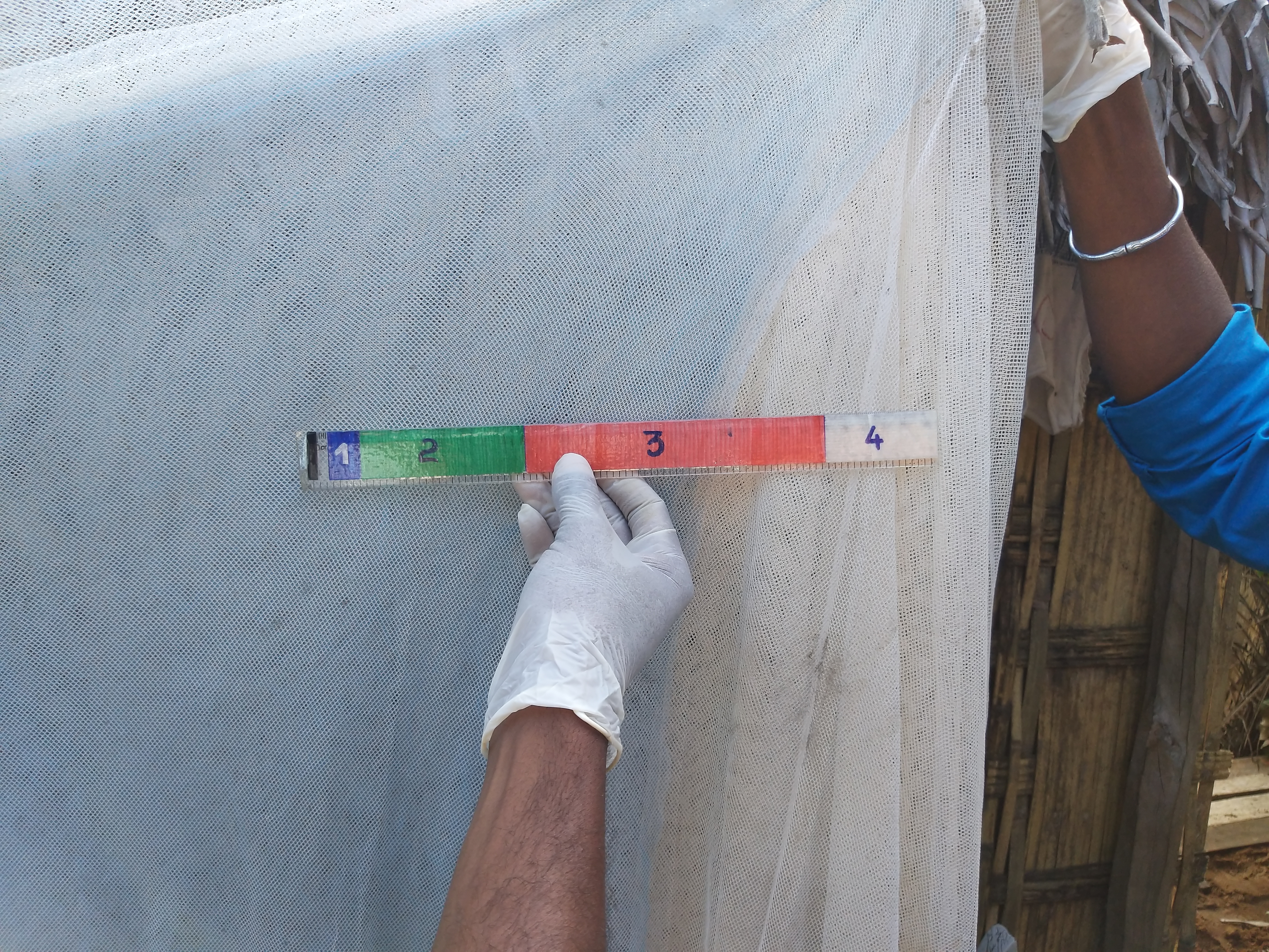 A ruler used to measure net hole size has color-coded markings for each of the four standard hole sizes measured during a durability monitoring study.