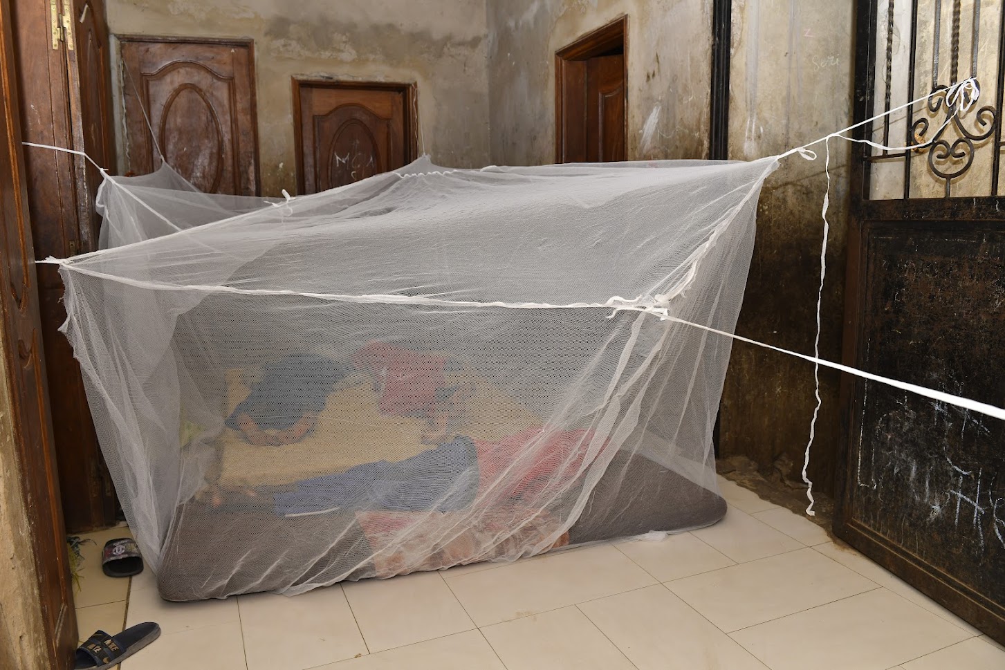 Reaching Talibé Children with Mosquito Nets