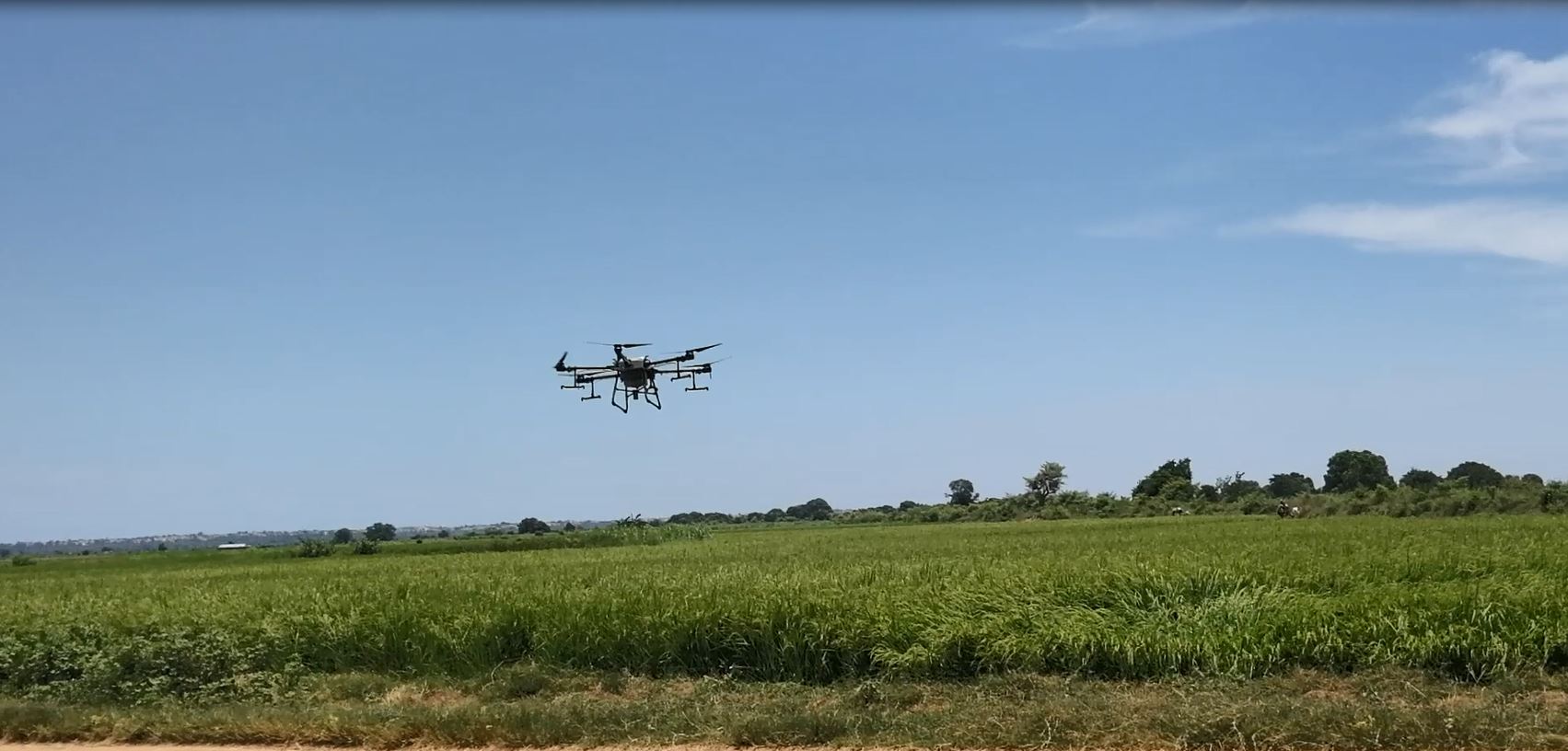 A drone spraying in Morombe district. 